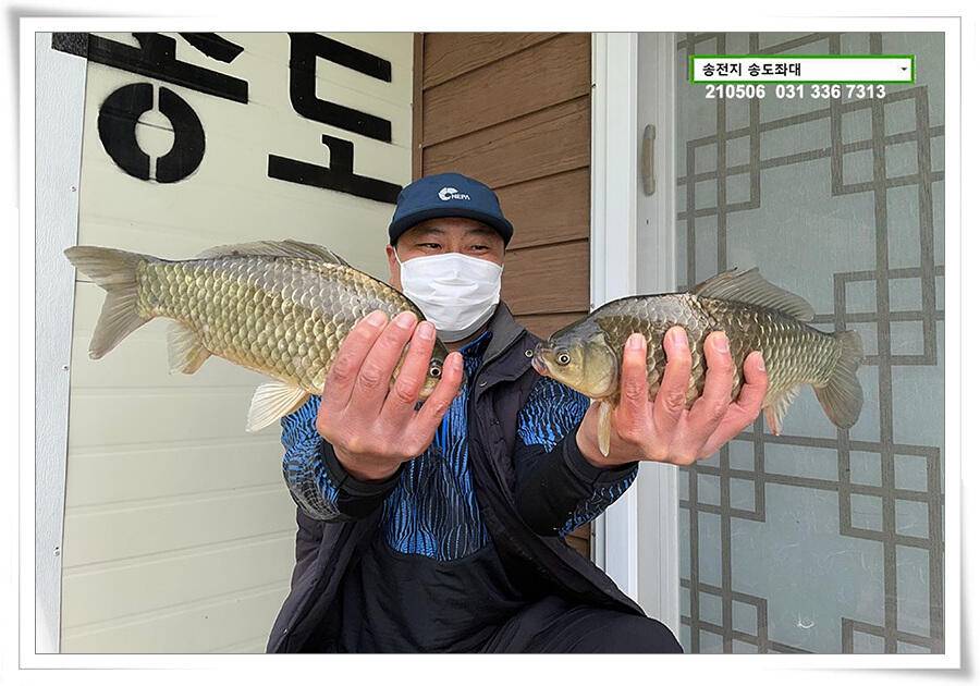 풍파에도 허리급송전지 송도좌대 조황 (유료터정보 - 유료터점주조황)
