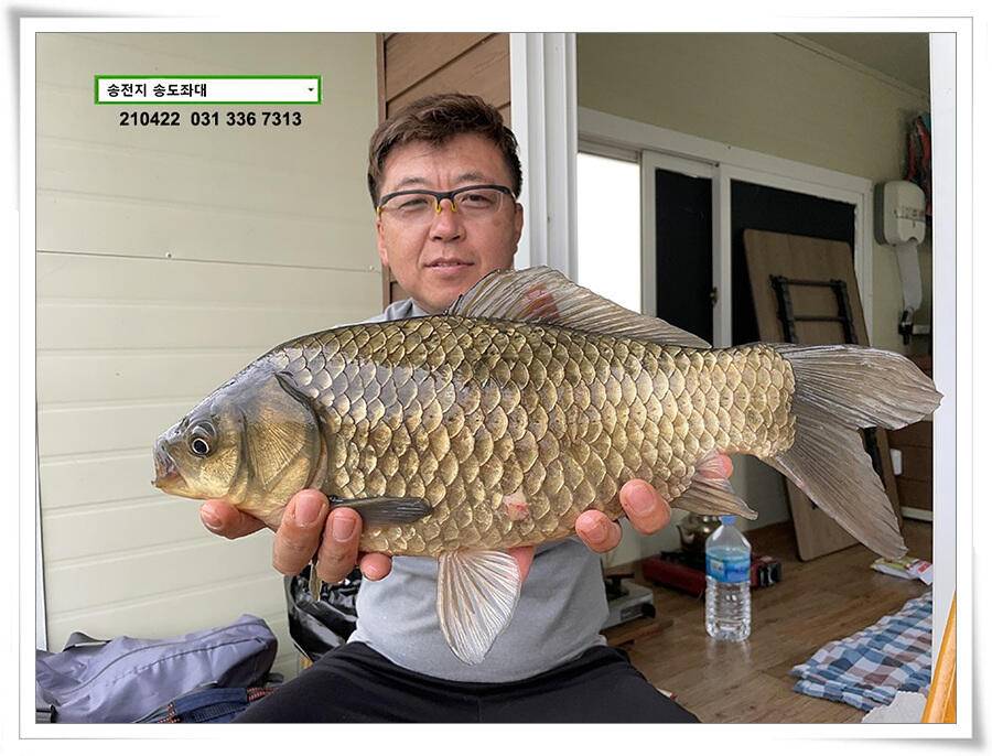 다시 만난 4짜송전지 송도좌대 조황 (유료터정보 - 유료터점주조황)