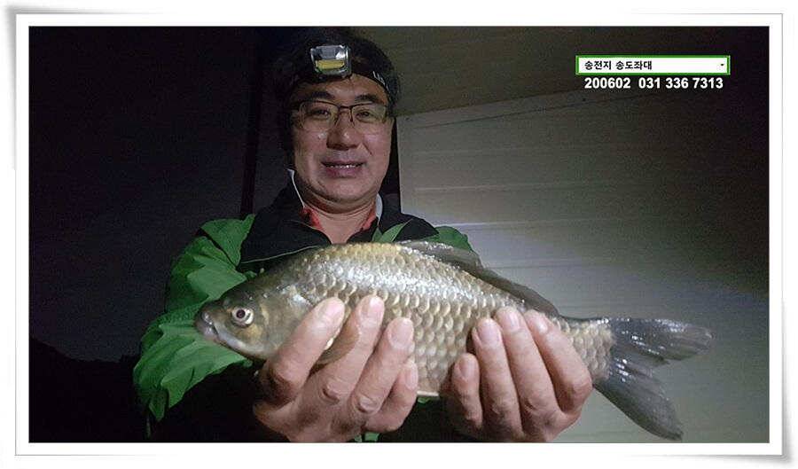 송전지 송도집 좌대 조황 송전낚시터 (유료터정보 - 유료터점주조황)