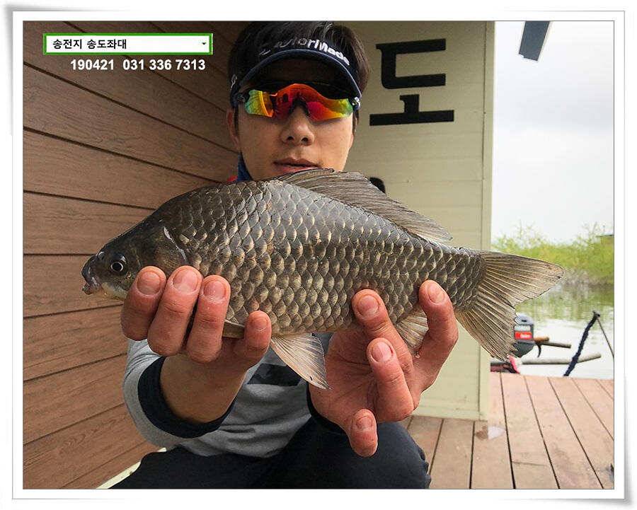 송전지 송도좌대 조황 (유료터정보 - 유료터점주조황)