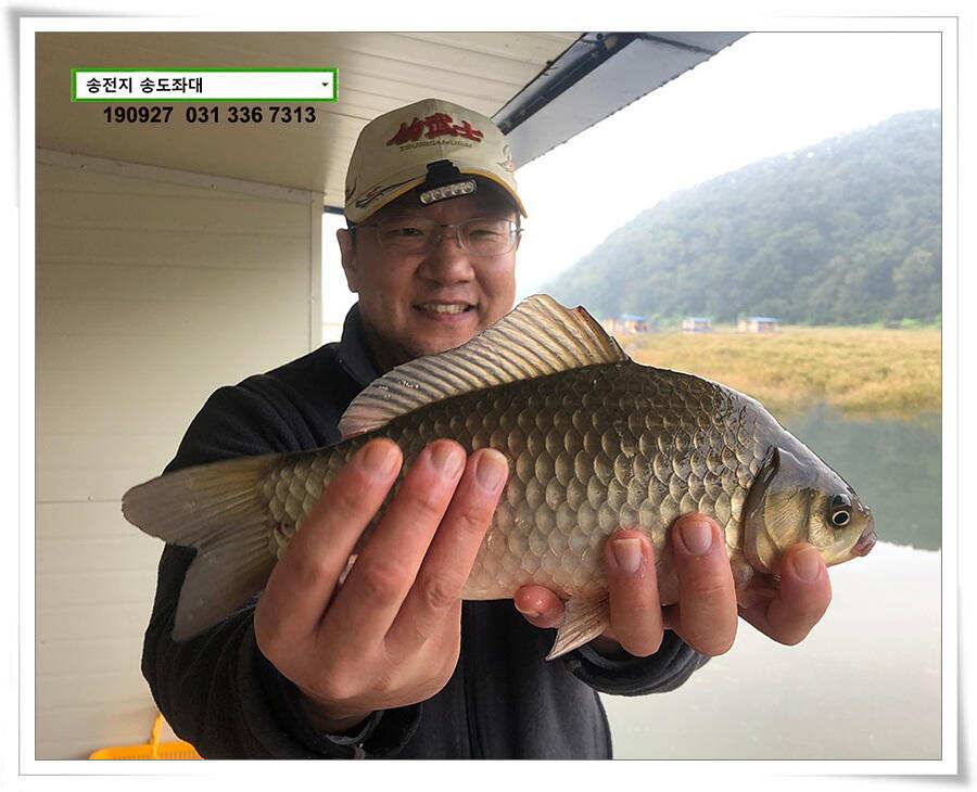 꾸준한 상면 (유료터정보 - 유료터점주조황)