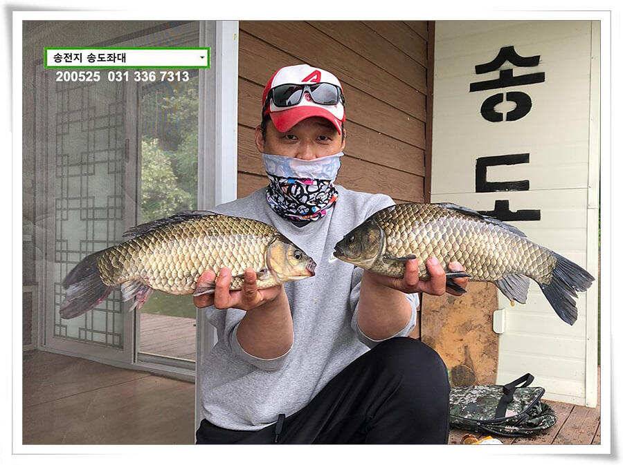 42cm송전지 송도집 좌대 조황 (유료터정보 - 유료터점주조황)