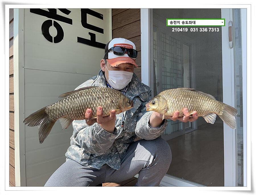 송전지 송전낚시터 송도좌대 조황 (유료터정보 - 유료터점주조황)