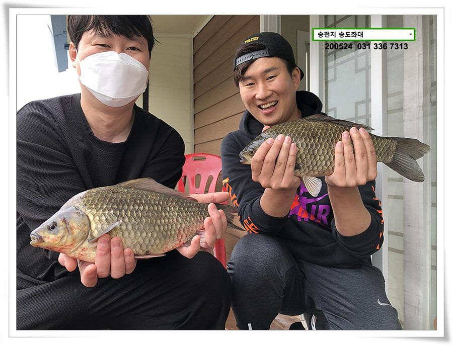 거꾸로 가는 송전지 시계 (유료터정보 - 유료터점주조황)