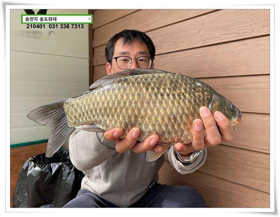 4짜 잼 꿀 잼 용인송전지 송도좌대 조황 (유료터정보 - 유료터점주조황)