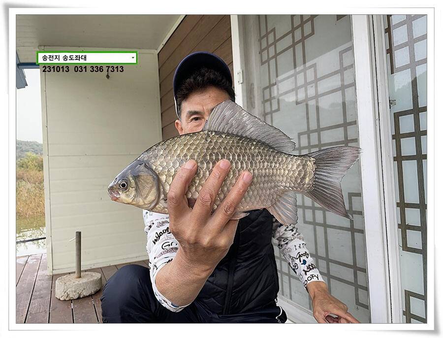 대물의 재림 (유료터정보 - 유료터점주조황)
