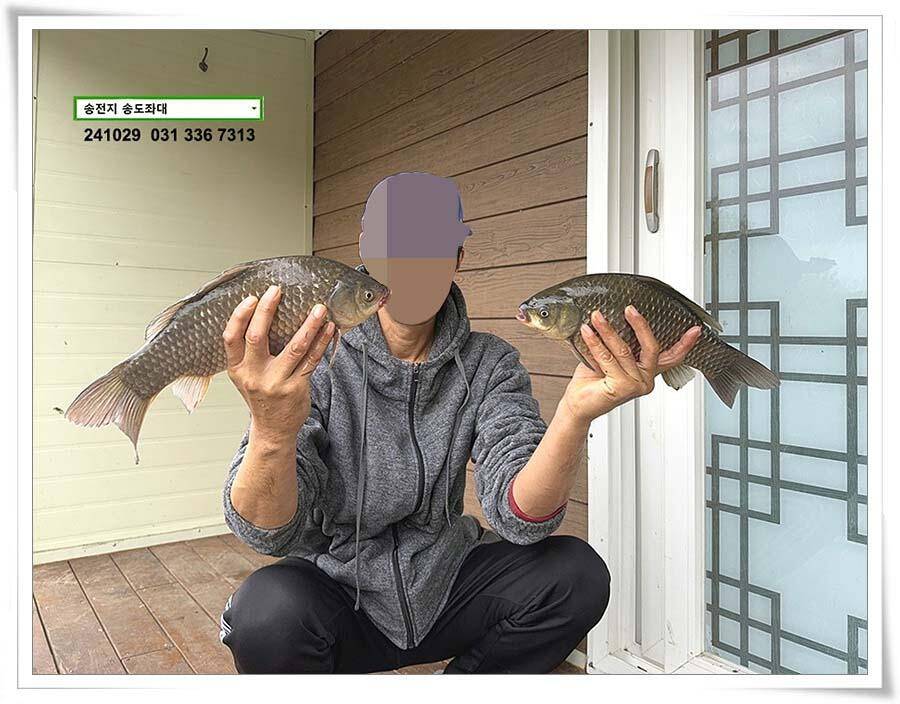 당신이 잠든 사이 (유료터정보 - 유료터점주조황)