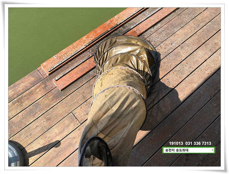 가을볕 드는 송도좌대 조황 (유료터정보 - 유료터점주조황)