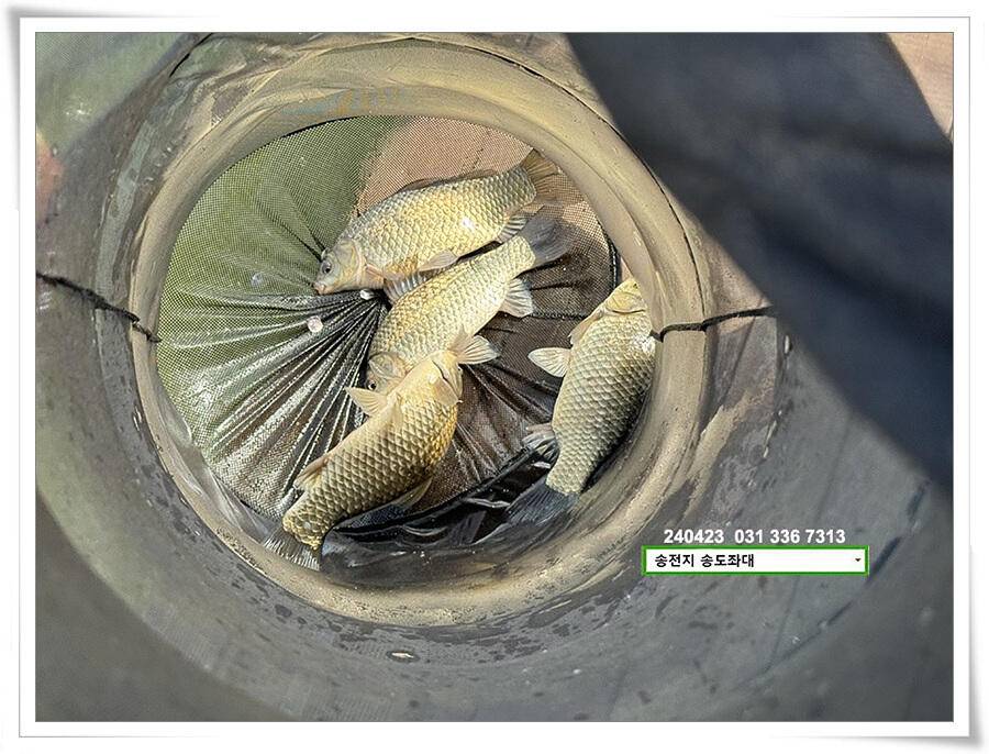 대낮에 한 4짜 (유료터정보 - 유료터점주조황)