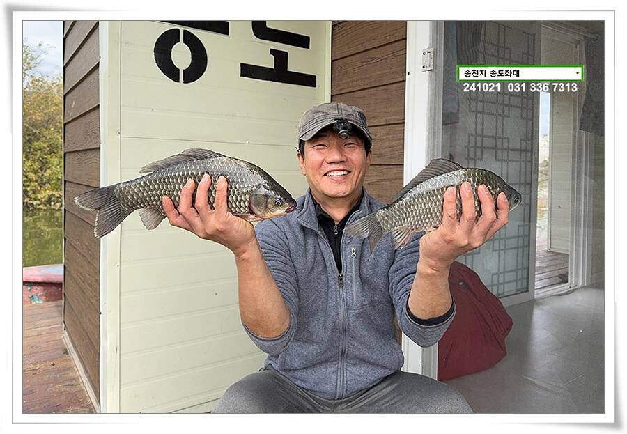 안정된 오름세 (유료터정보 - 유료터점주조황)