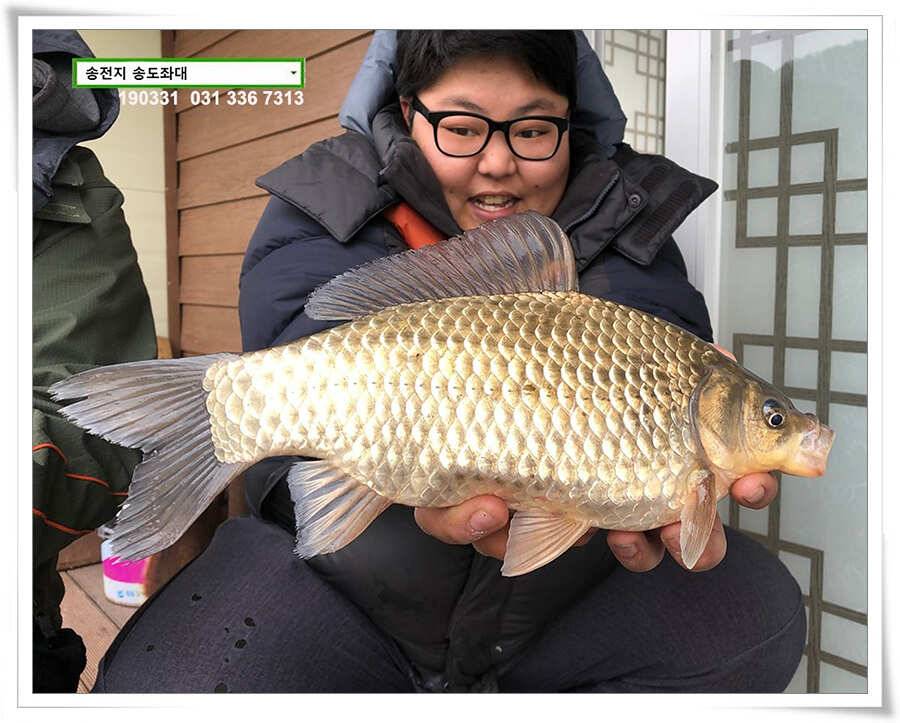 천만다행 얼굴보게돼서 천만다행 (유료터정보 - 유료터점주조황)