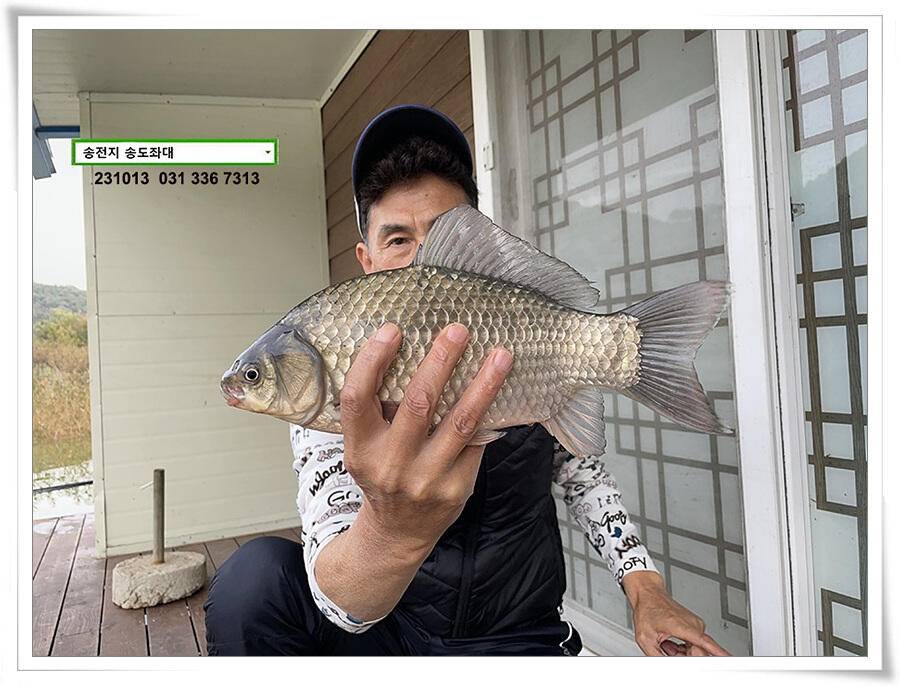 대물의 재림 (유료터정보 - 유료터점주조황)