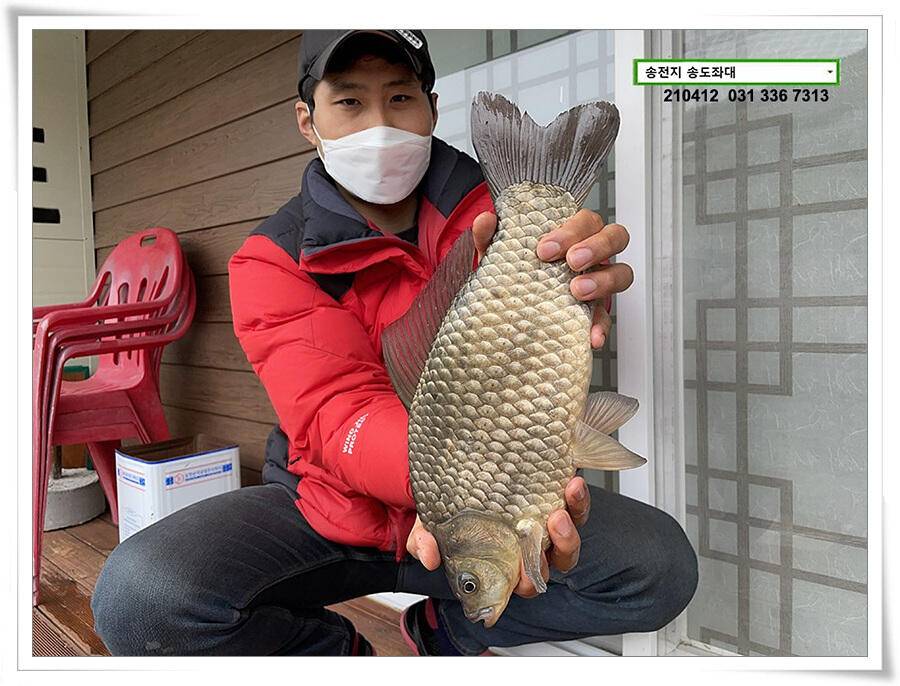 435cm송전지 송도좌대 조황 (유료터정보 - 유료터점주조황)
