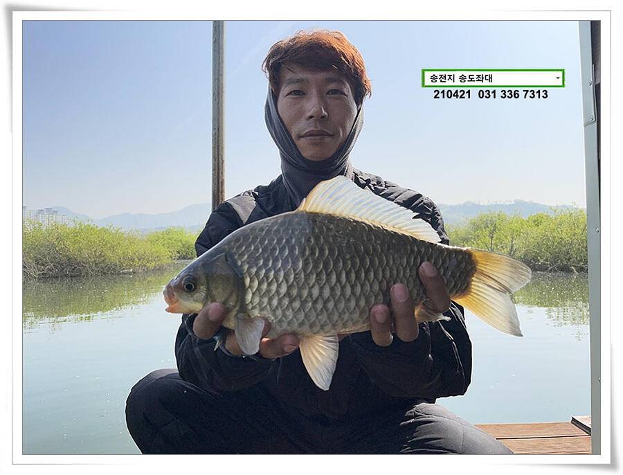 다시 만난 4짜송전지 송도좌대 조황 (유료터정보 - 유료터점주조황)