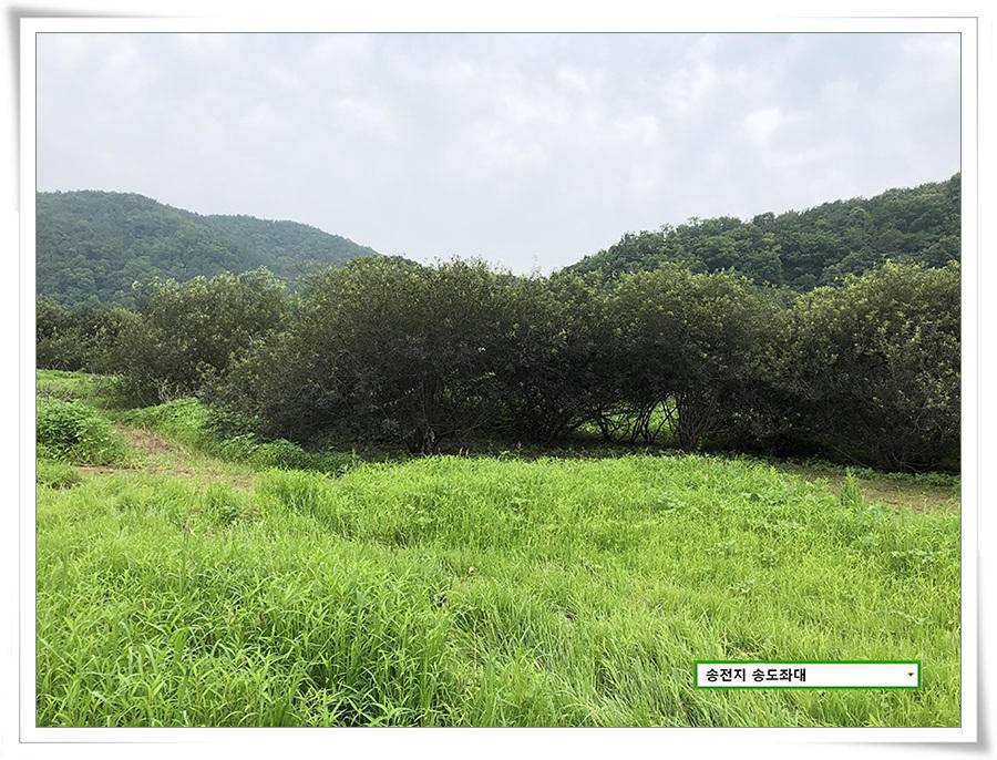 미약한 오름 송전지 송도좌대 조황 (유료터정보 - 유료터점주조황)