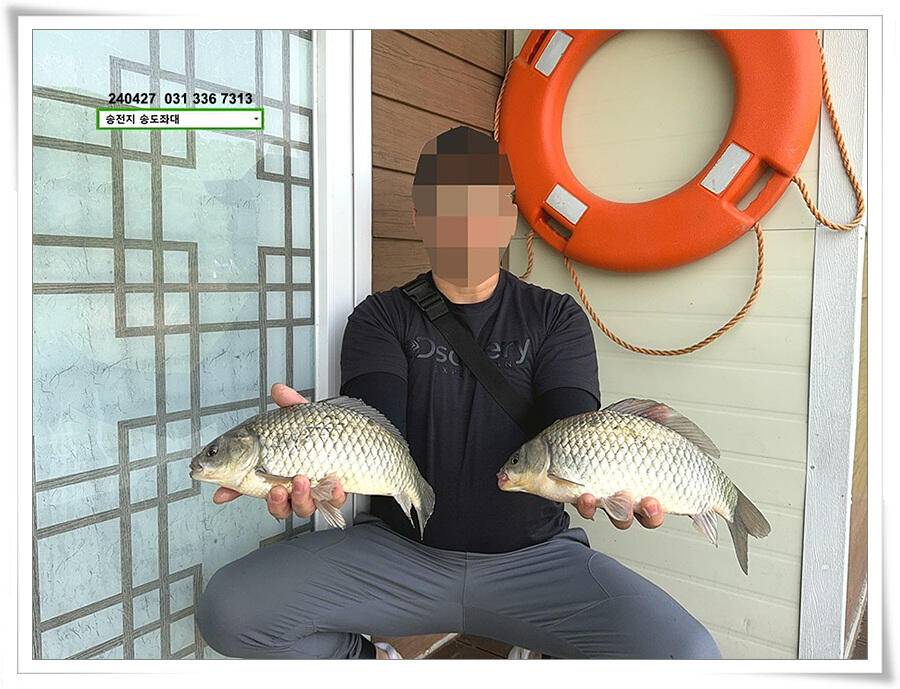 여름볕에 허리급 (유료터정보 - 유료터점주조황)