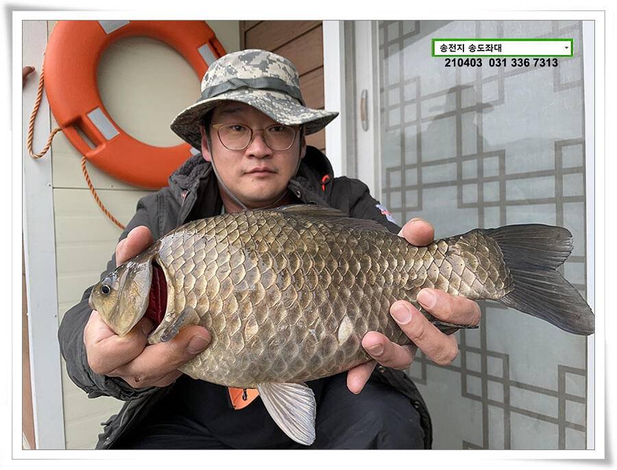 매일 그대와 송전지 송전낚시터 송도좌대 조황 (유료터정보 - 유료터점주조황)