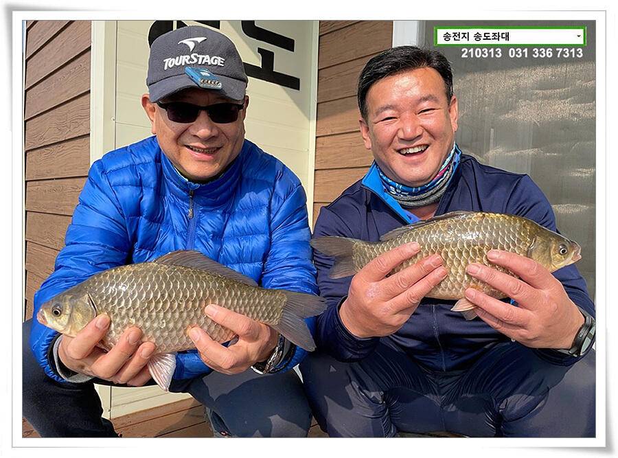 봄 붕어 제오시는 송전지 송도좌대 조황 (유료터정보 - 유료터점주조황)