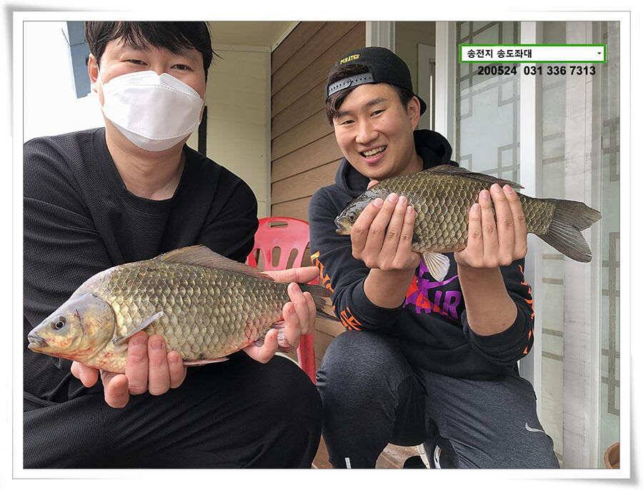 거꾸로 가는 송전지 시계 (유료터정보 - 유료터점주조황)