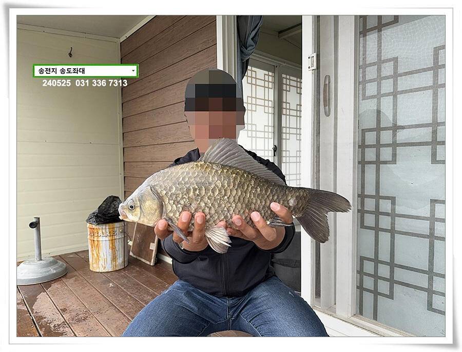 주말 휴일 조황 (유료터정보 - 유료터점주조황)