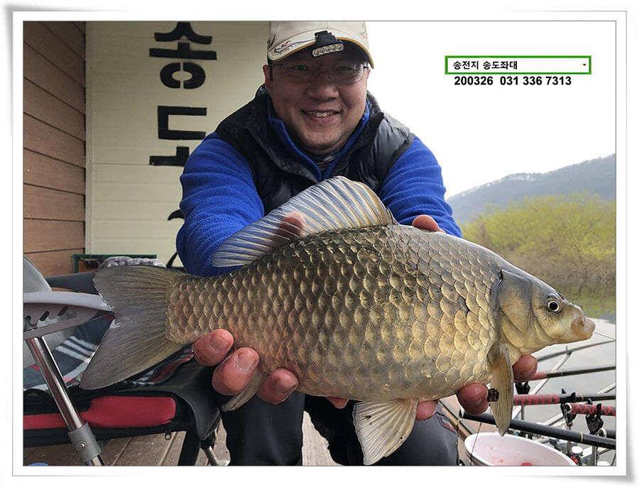 산란 송전지 송도좌대 조황 (유료터정보 - 유료터점주조황)