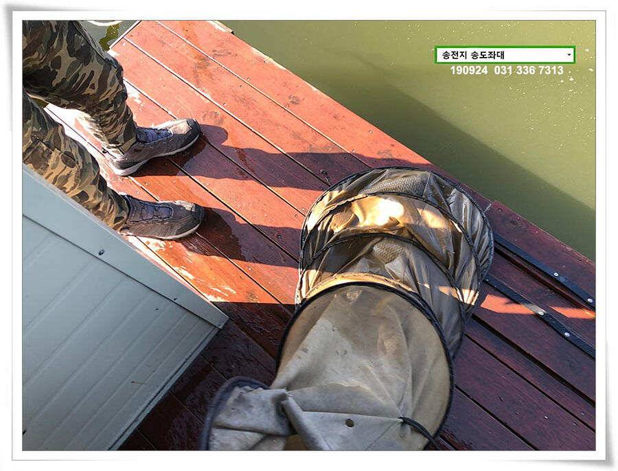 추분 지나는 가을 저수지 (유료터정보 - 유료터점주조황)