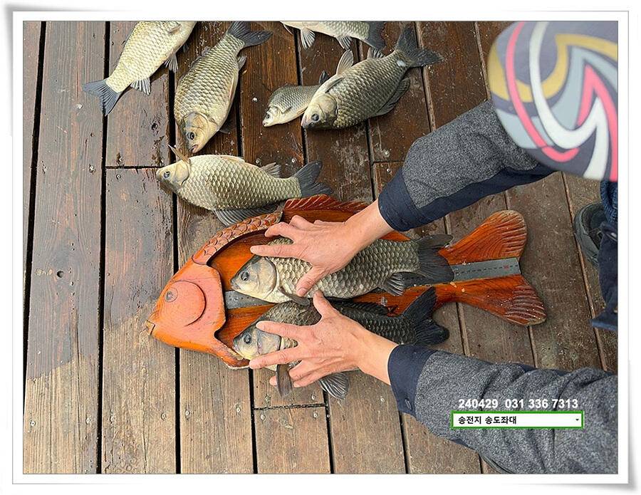 흐린 날에 4짜 (유료터정보 - 유료터점주조황)