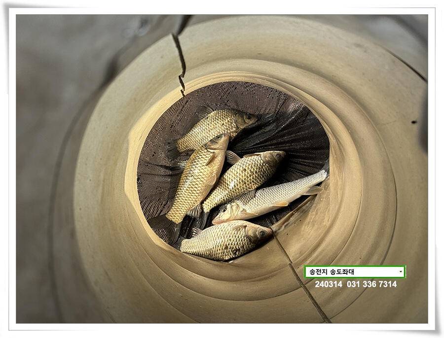 큰 거 (유료터정보 - 유료터점주조황)