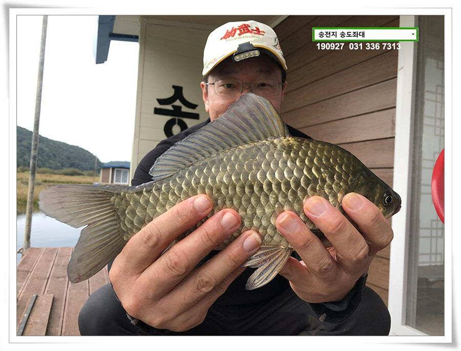 꾸준한 상면 (유료터정보 - 유료터점주조황)