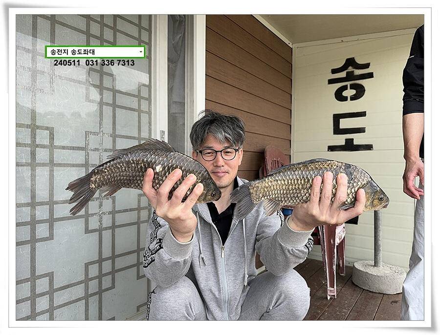 덩어리 혹은 마릿수 (유료터정보 - 유료터점주조황)