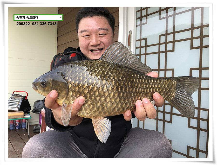 입 벌려 딸기 들어간닷송전지 송도좌대 조황 (유료터정보 - 유료터점주조황)