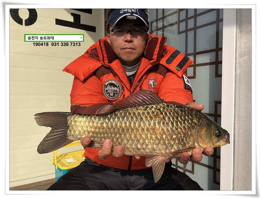 꽃피는 봄이 오면 (유료터정보 - 유료터점주조황)