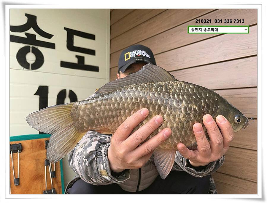 화려한 철수송전지 송도좌대 조황 (유료터정보 - 유료터점주조황)