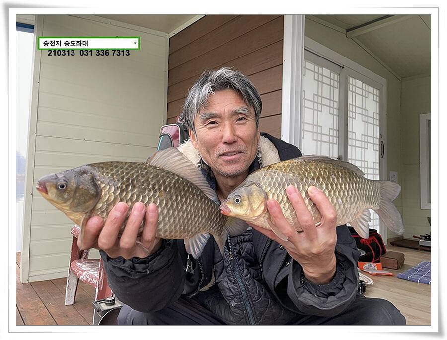 봄 붕어 제오시는 송전지 송도좌대 조황 (유료터정보 - 유료터점주조황)