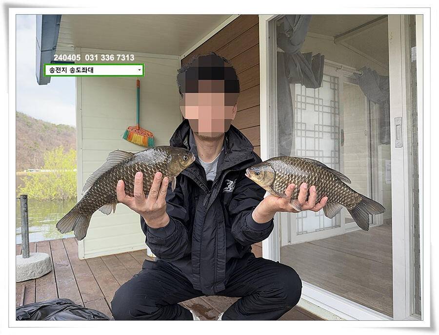 덩어리의 산란 (유료터정보 - 유료터점주조황)