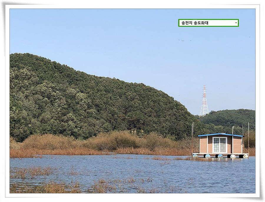 가을볕 드는 송도좌대 조황 (유료터정보 - 유료터점주조황)
