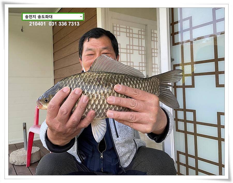 4짜 잼 꿀 잼 용인송전지 송도좌대 조황 (유료터정보 - 유료터점주조황)