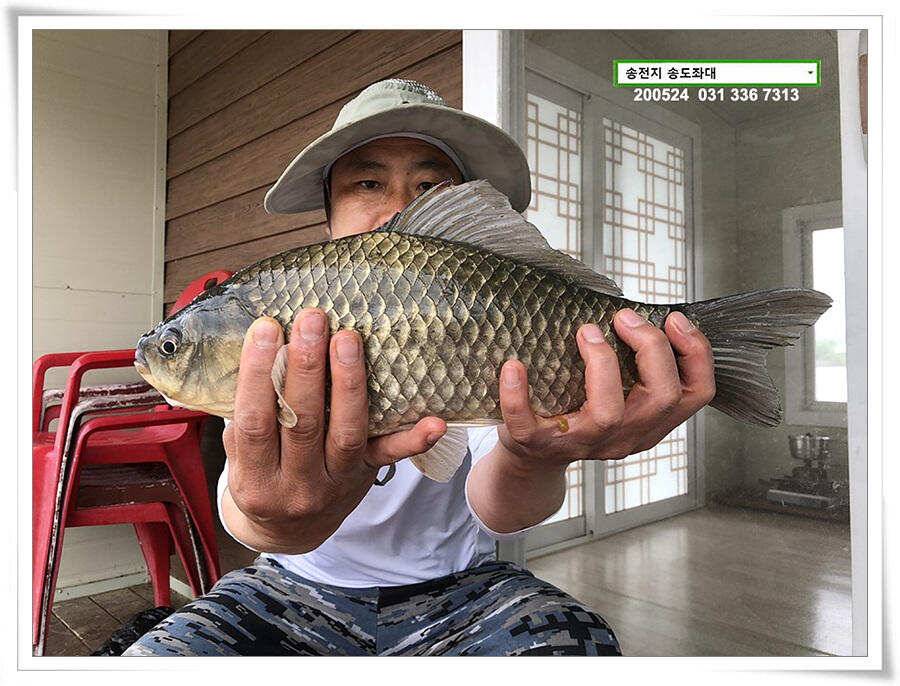거꾸로 가는 송전지 시계 (유료터정보 - 유료터점주조황)