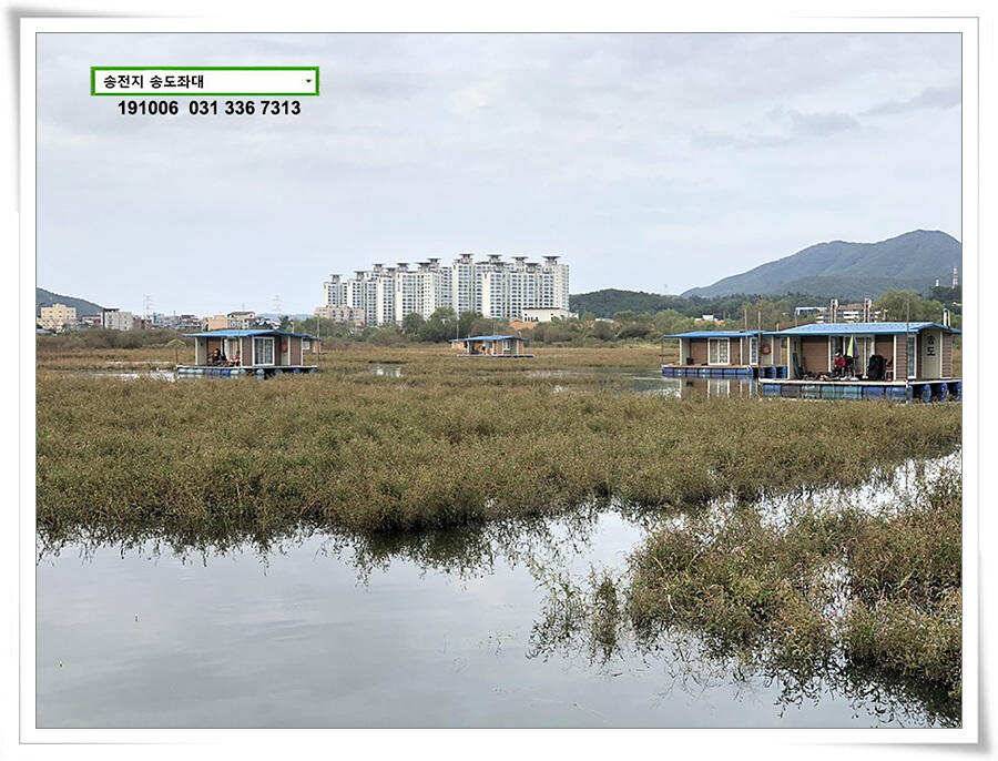 태풍 후 안정세 (유료터정보 - 유료터점주조황)