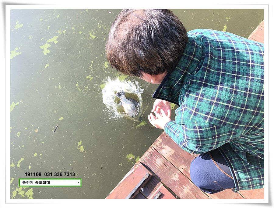 오랜만에 가을비 (유료터정보 - 유료터점주조황)