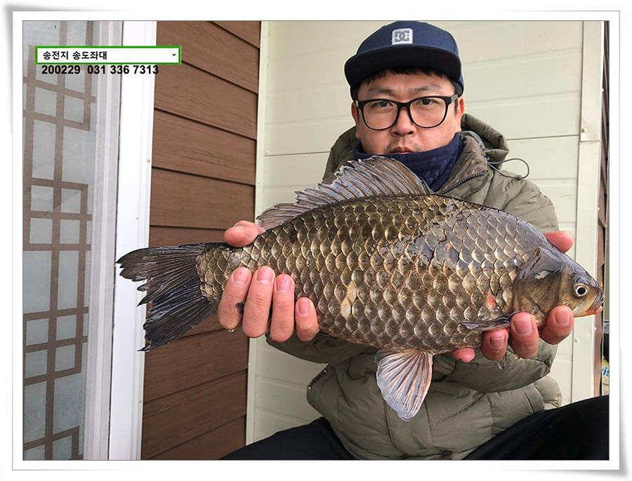 4짜 참전하는 송전지 송도좌대 조황 (유료터정보 - 유료터점주조황)