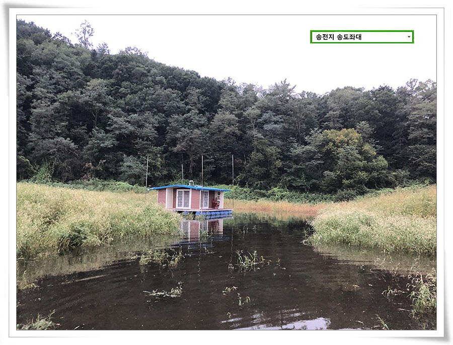 연휴 끝에 가을 볕 (유료터정보 - 유료터점주조황)