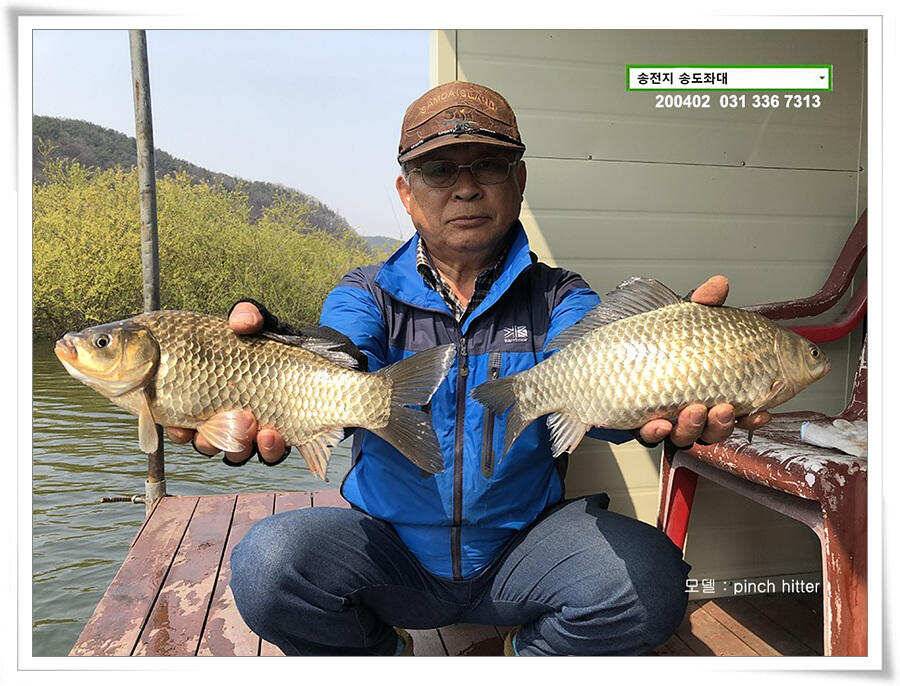 송전지 송도좌대 조황 (유료터정보 - 유료터점주조황)