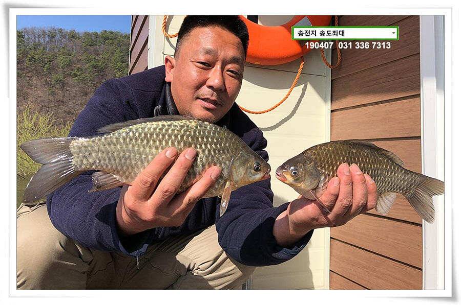 다시 빌드업 나선 송도좌대 조황 (유료터정보 - 유료터점주조황)