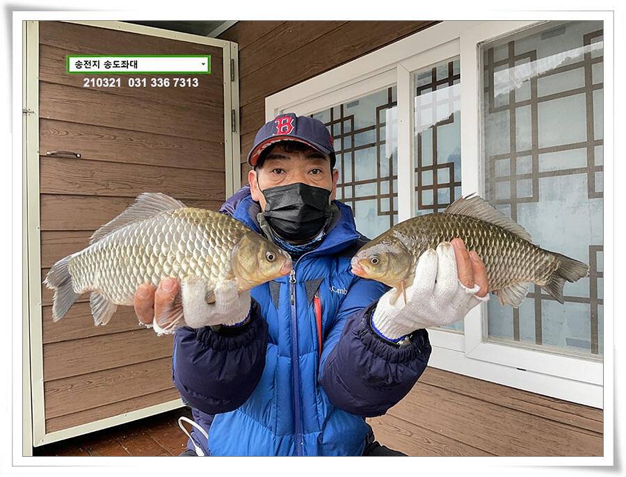 4짜 혹은 마릿수 송전지 송도좌대 조황 (유료터정보 - 유료터점주조황)