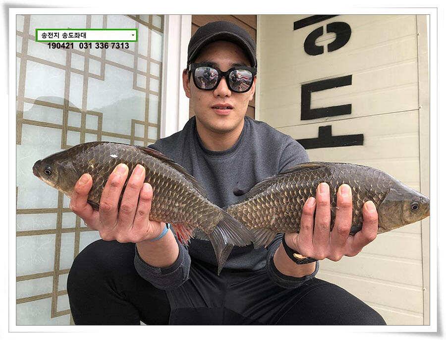 마릿수와 꽝의 차이 (유료터정보 - 유료터점주조황)
