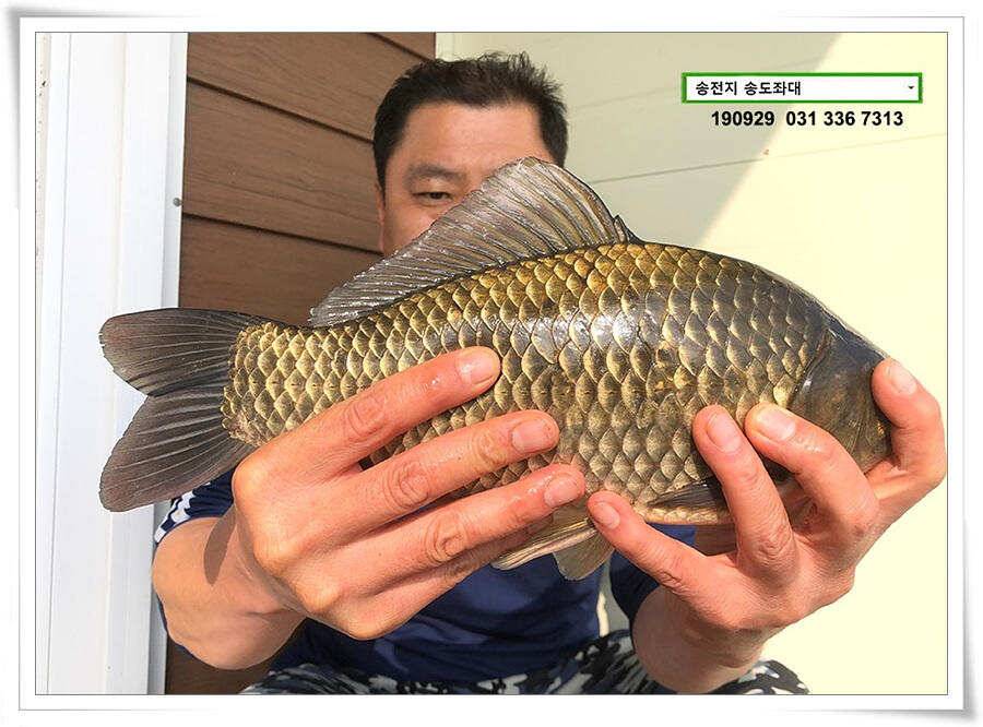 여기 어때 (유료터정보 - 유료터점주조황)