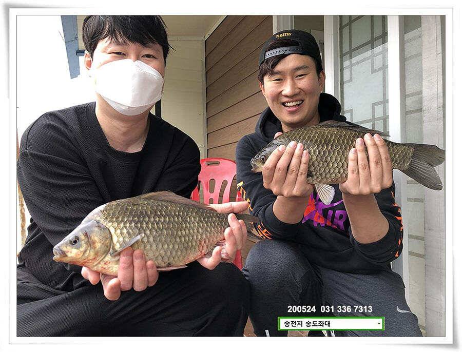 거꾸로 가는 송전지 시계 (유료터정보 - 유료터점주조황)