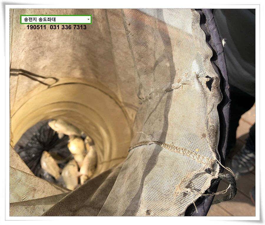 송전낚시터 송도좌대 조황 (유료터정보 - 유료터점주조황)