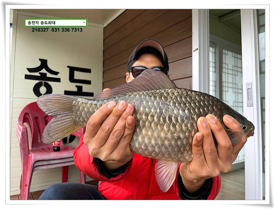 바람과 구름과 4짜 송전지 송도집 좌대 조황 (유료터정보 - 유료터점주조황)